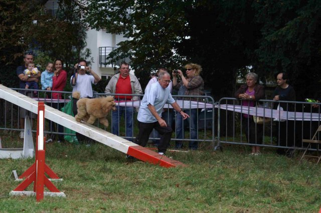 foire-haricots 2011-09-17et18